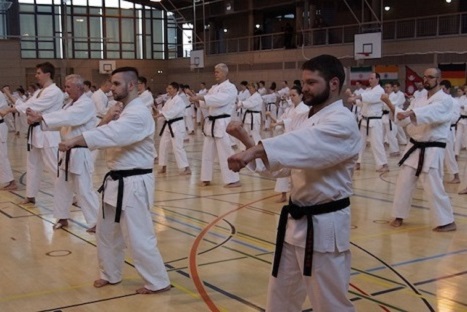 JKF_Goju-Kai_Bildband-05.jpg